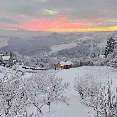자스트레바르스코 Wine Panorama House 빌라 외부 사진